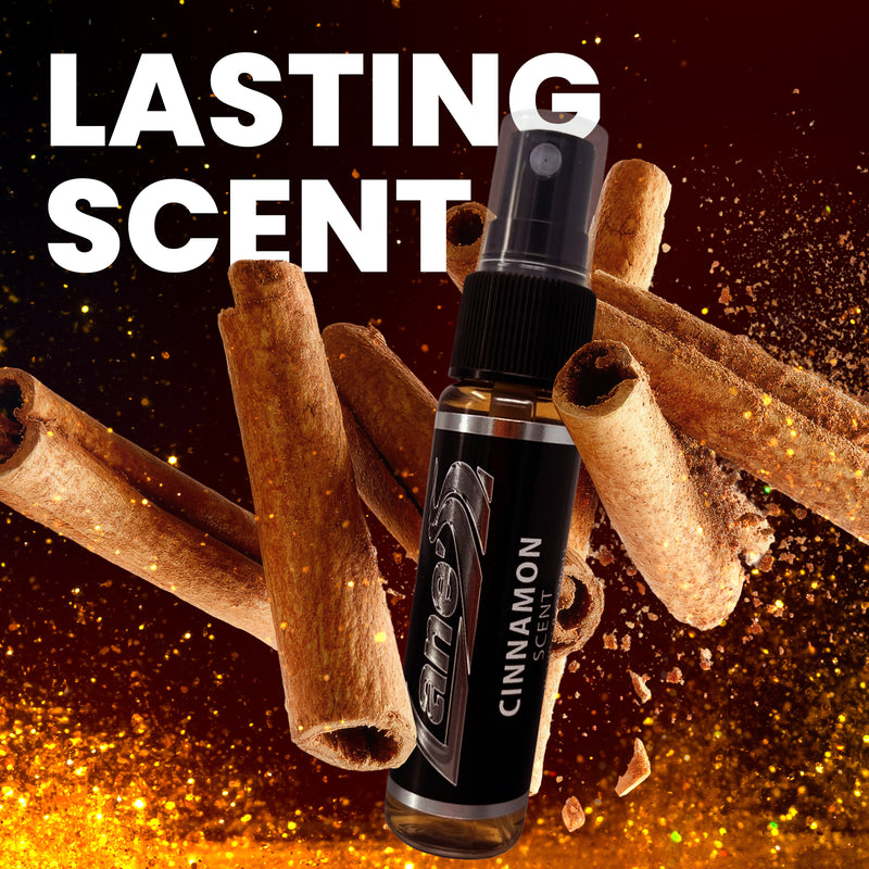 Cinnamon Car Air Freshener