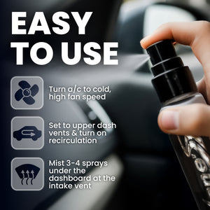 Lemon Car Air Freshener