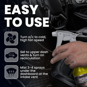 Lemon Car Air Freshener