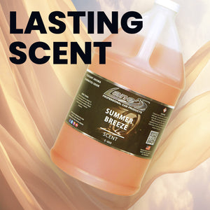Summer Breeze Car Air Freshener