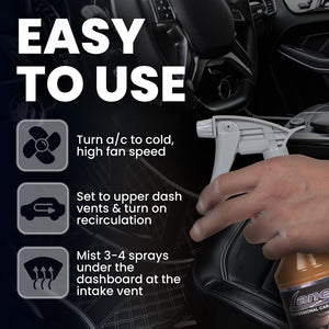 Summer Breeze Car Air Freshener