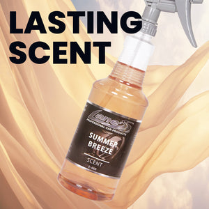 Summer Breeze Car Air Freshener