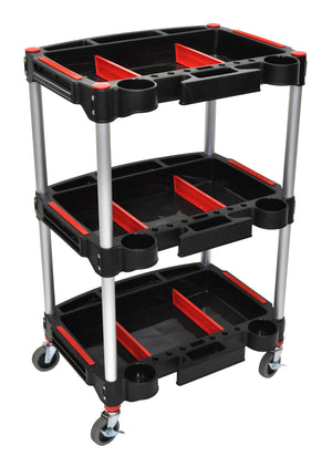 Mobile Detailing Carts