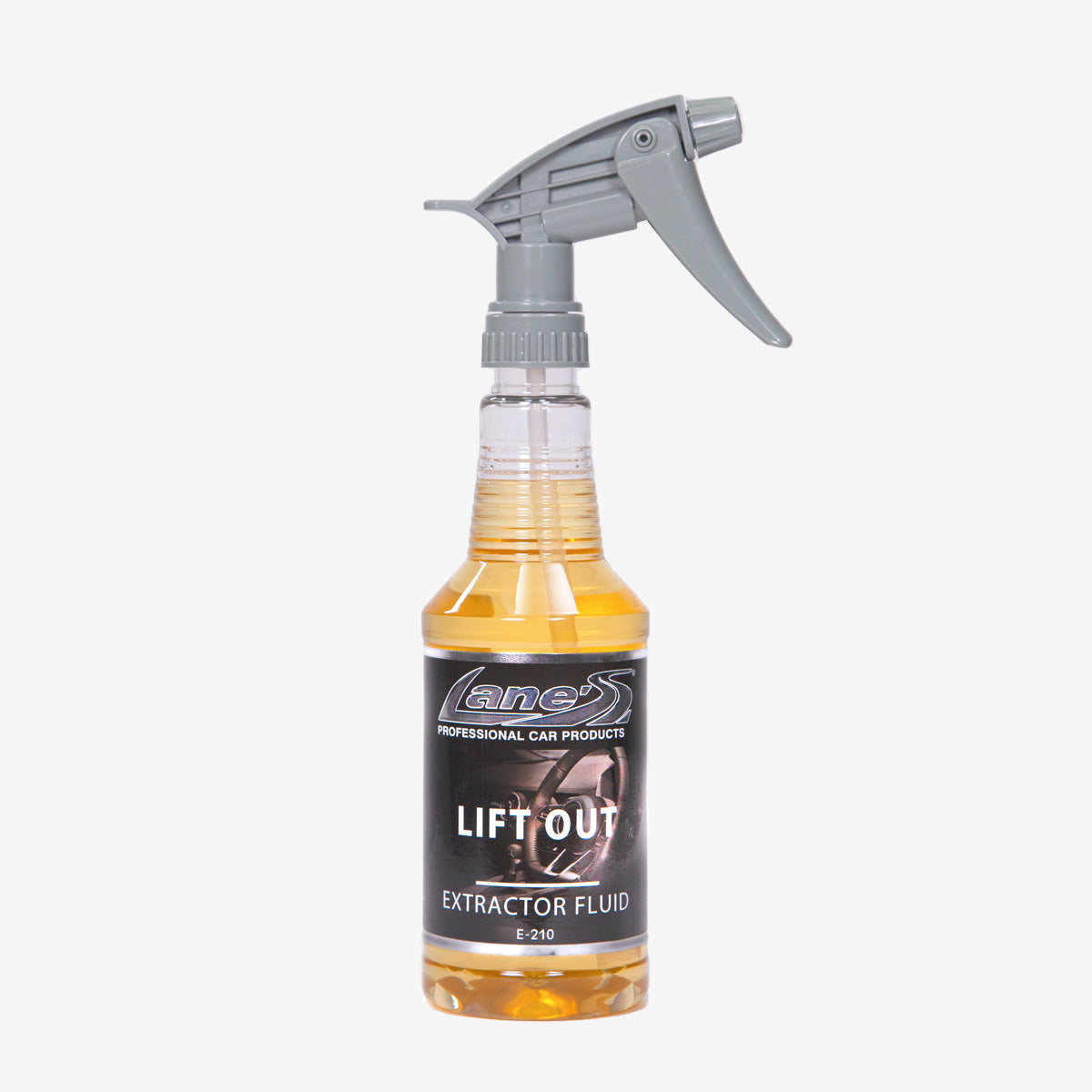 Lift Out Carpet Extractor Cleaner