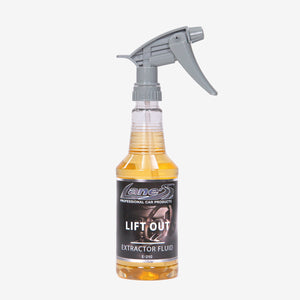 Lift Out Carpet Extractor Cleaner